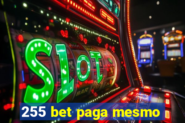 255 bet paga mesmo